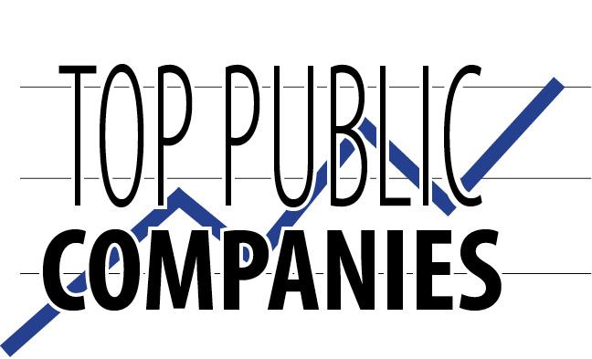 List Of Public Companies In South Africa