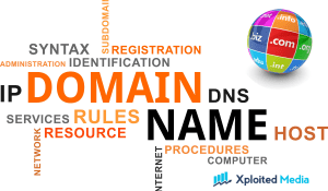 Domain Name (1)